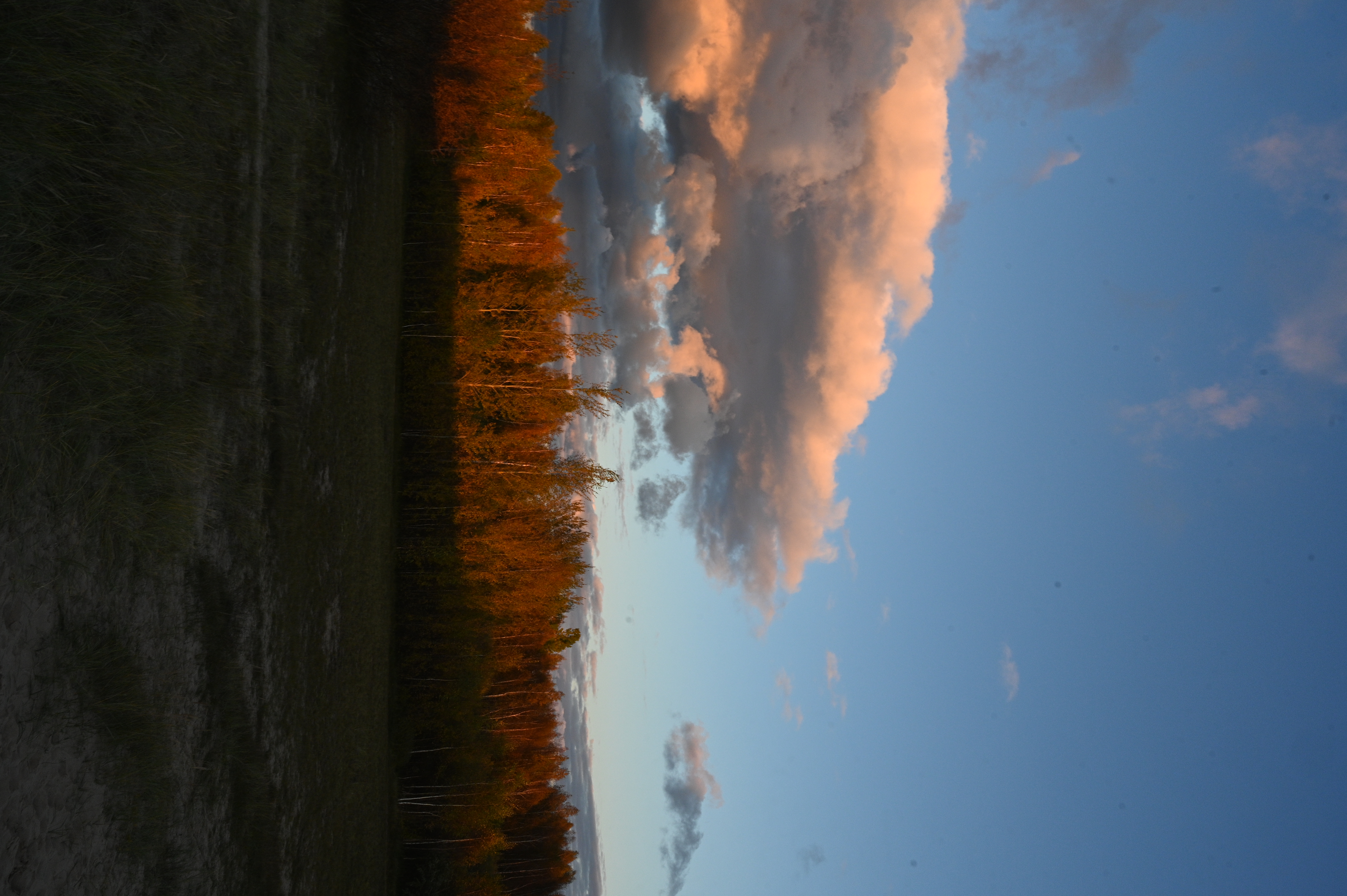 2025/10/18 - walk/DSC_0404.JPG